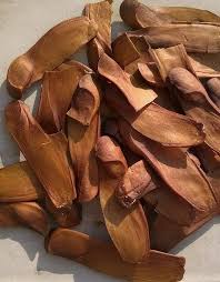 Fresh Sky Fruit Seeds